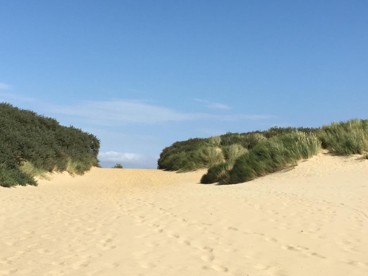 Owlers Retreat Villa Camber Bagian luar foto